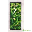 FOREST mohakép gombával 25x60 cm