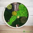 FOREST mohakép 30 cm