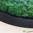 Egyszínű kör zuzmókép fekete keretben 60 cm