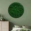 Egyszínű kör zuzmókép fekete keretben 60 cm