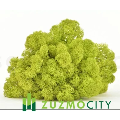 Izlandi zuzmó alapanyag -  LIME ZÖLD, prémium 250 gramm